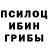 Галлюциногенные грибы GOLDEN TEACHER Zabil Qehramanov