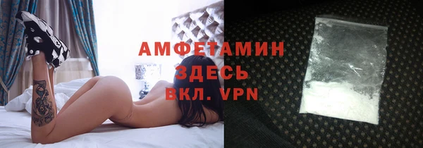 шишки Беломорск