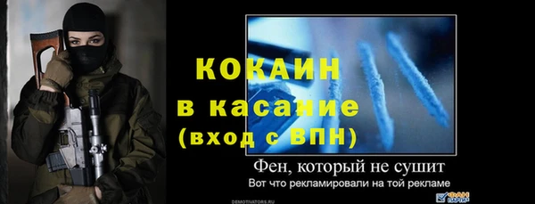 шишки Беломорск