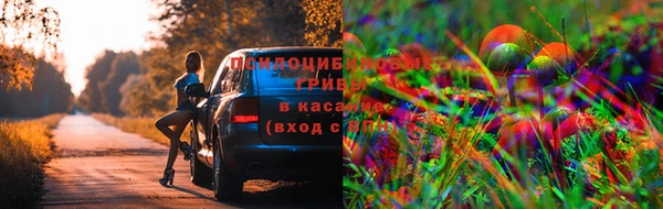 ешки Белокуриха